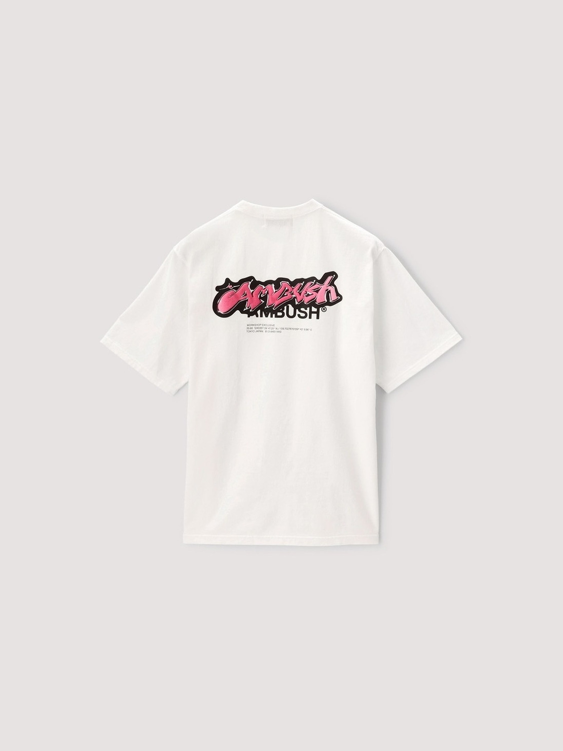 OVER DYE STRICKERS LOGO T-SHIRT 詳細画像 White 1