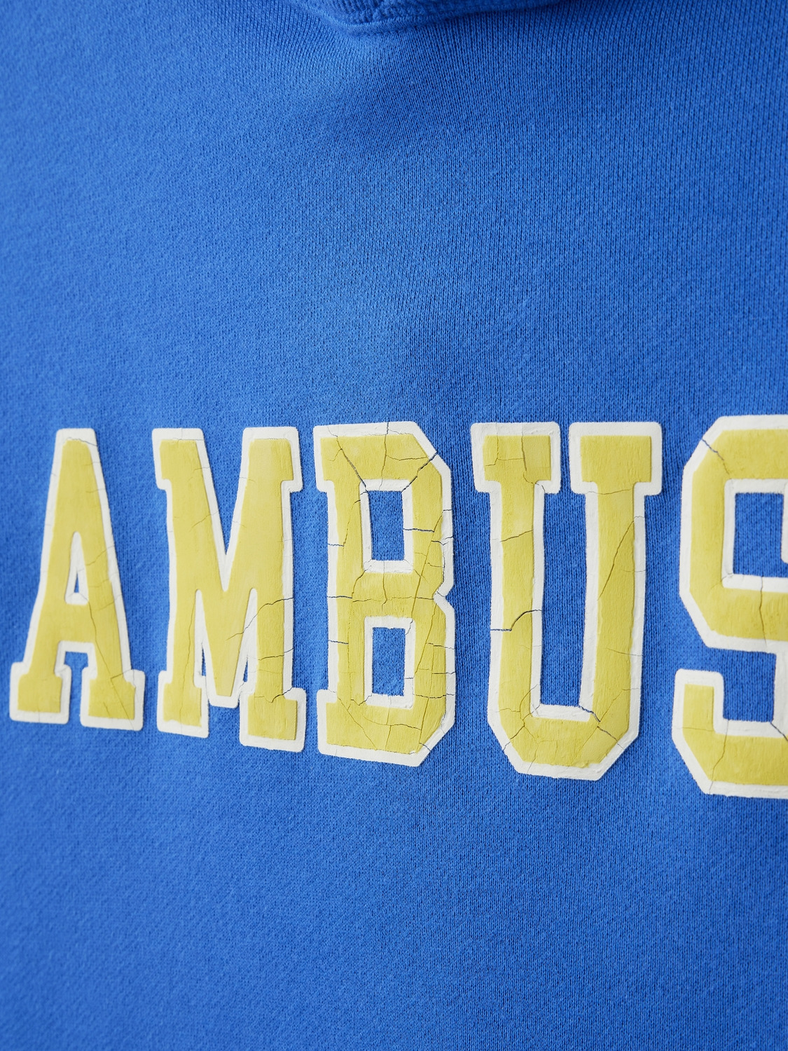 COLLEGE LOGO HOODIE 詳細画像 Blue 4